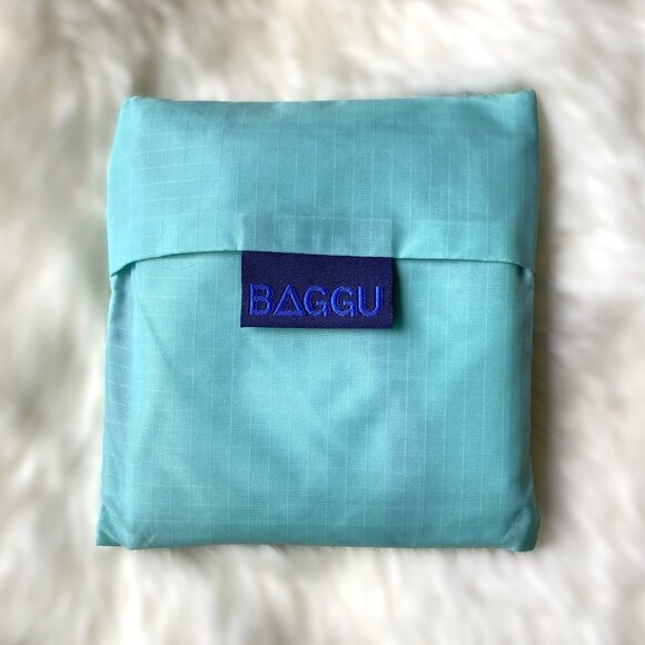 NWOT Standard Baggu - Mint Block - Picture 2 of 3